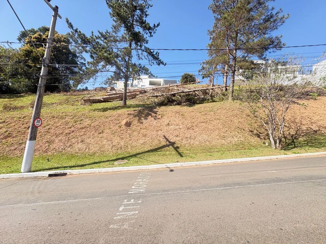 Lote / Terreno - São Pedro - Foto 4