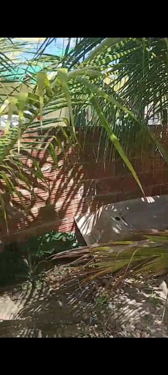 Casa com terreno, vila velha 4 - Foto 5