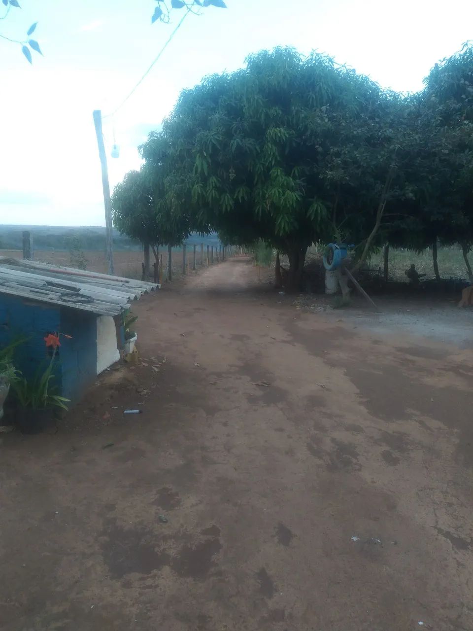 Vendo - Foto 4