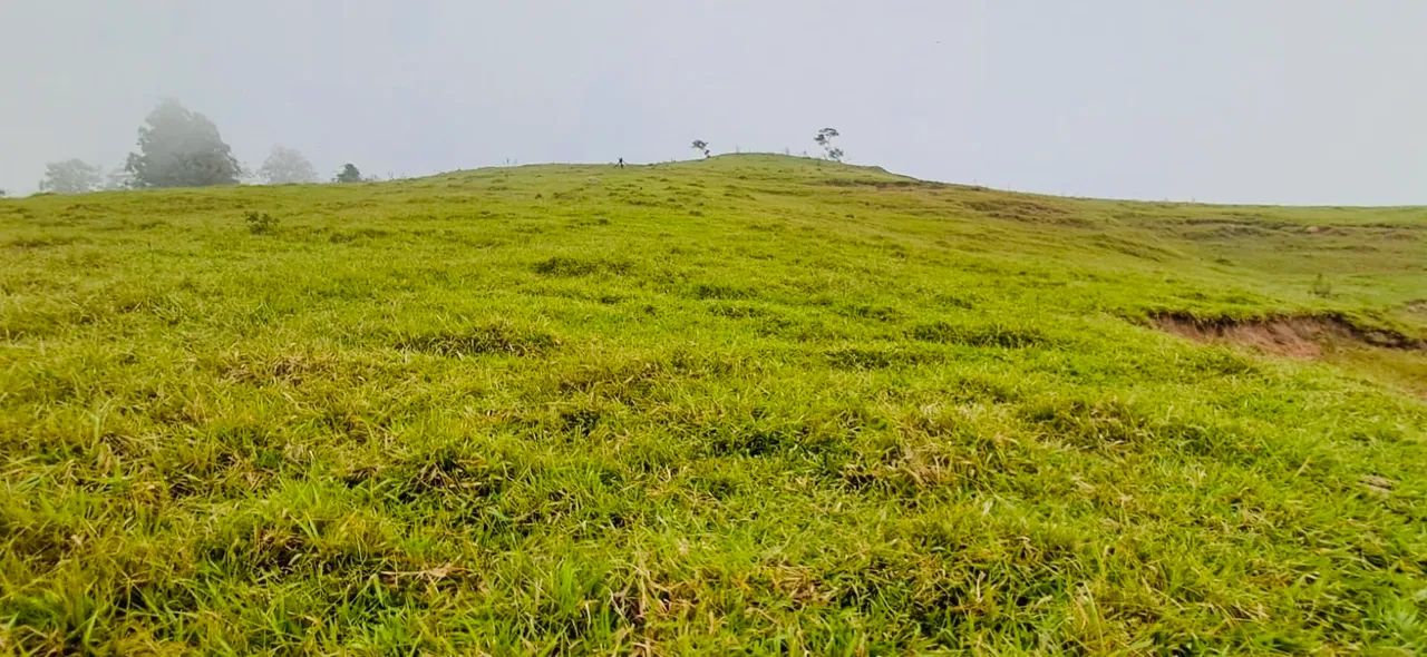 SÍTIO 16,8 ALQUEIRES EM CORUMBATAÍ  - Foto 2