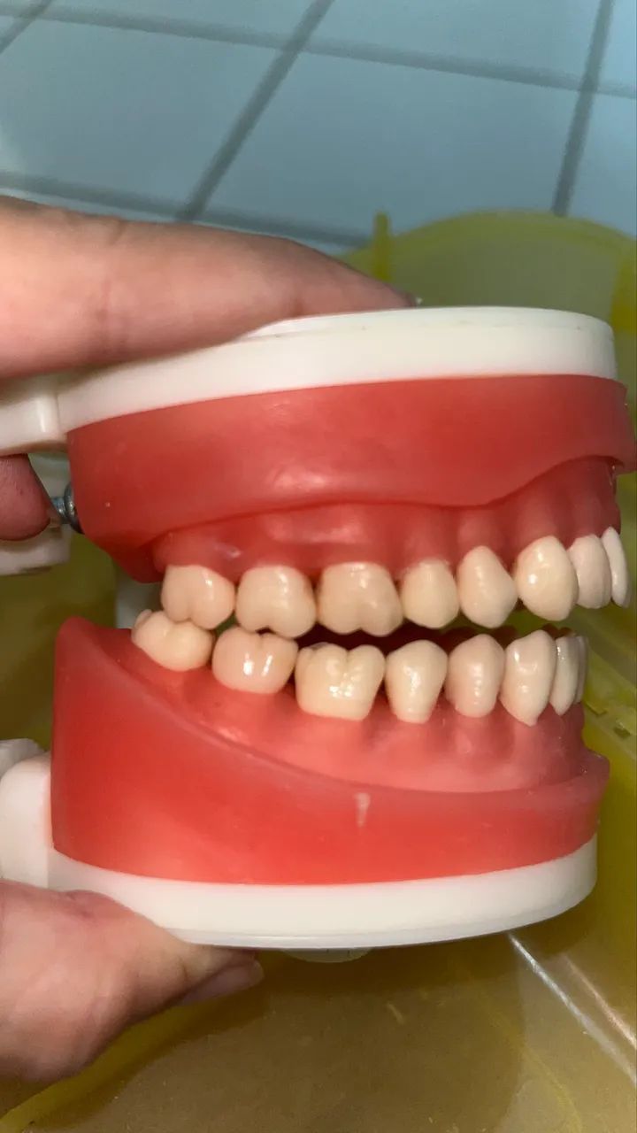 VENDO MANEQUIM PRONEW TOP DENTÍSTICA  PD100 - Foto 3