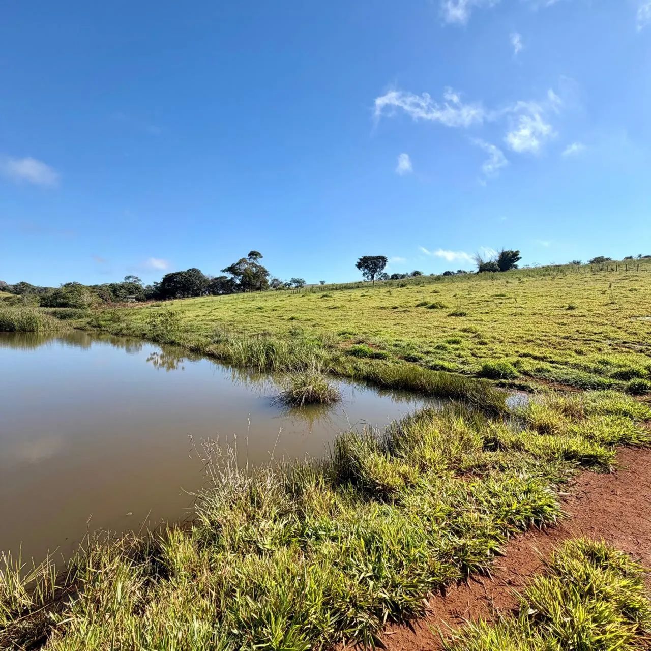 Terreno 12.000m2 em Anápolis GO - Foto 5