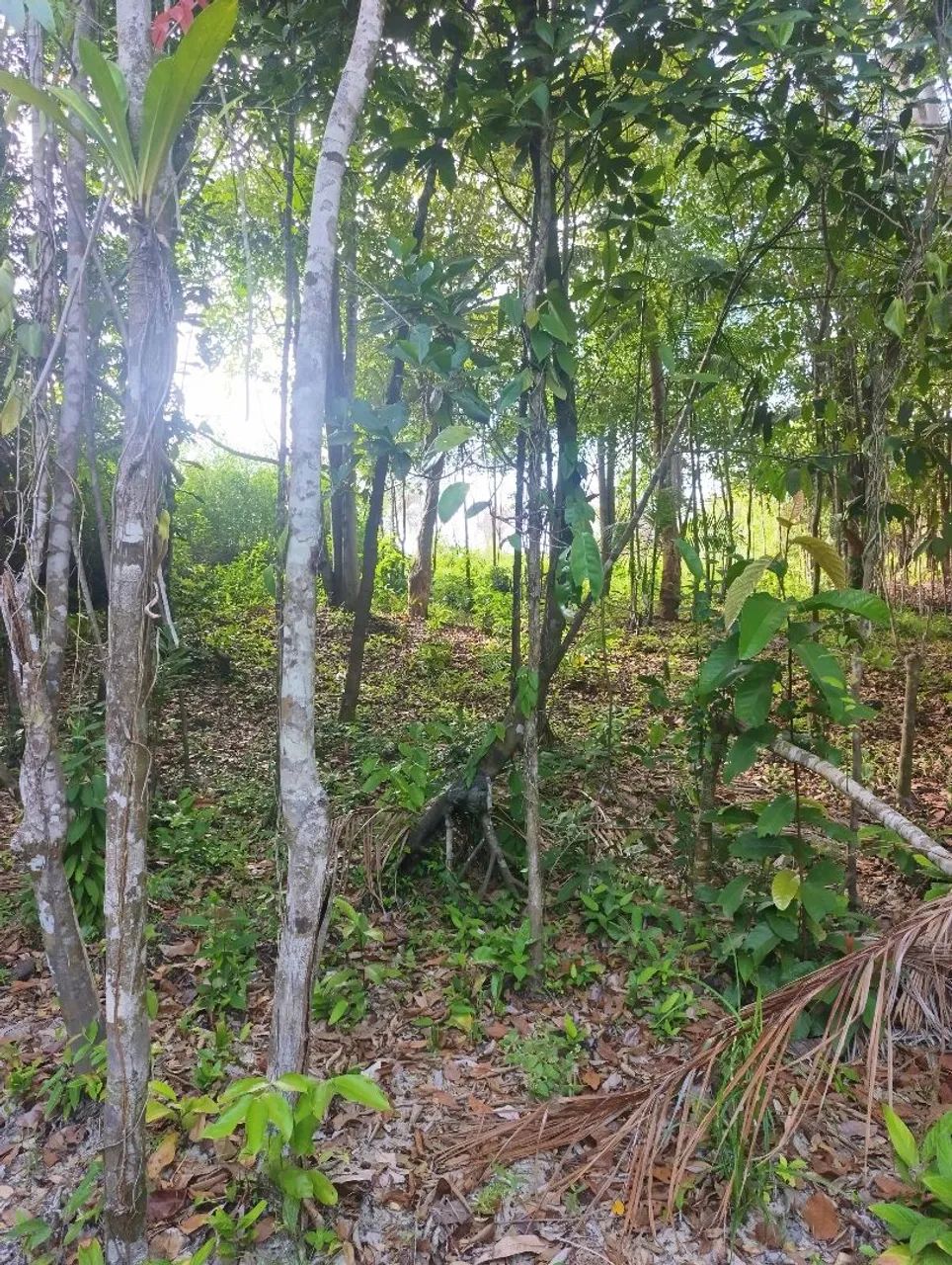 Banho na cidade de Morros, - Matogrosso. - Foto 5