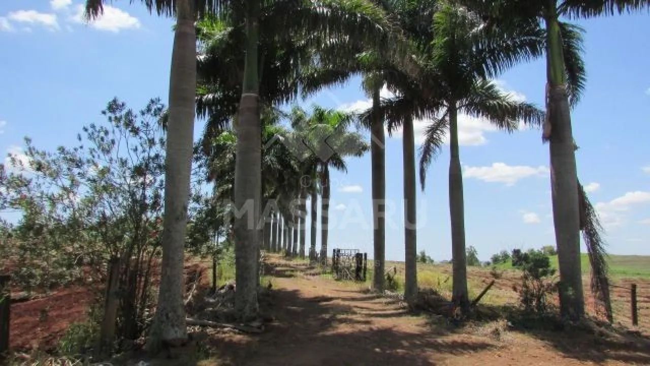 OPORTUNIDADE DE INVESTIR EM LOTE RURAL