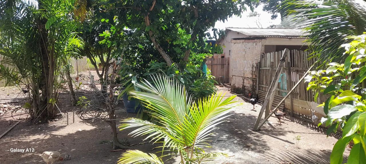 Terreno no cipoal - Foto 2