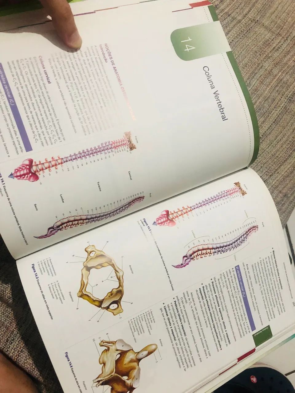 Para estudantes em Radiologia vendo o Kit Biasoli + Bontrager em perfeito estado. - Foto 4