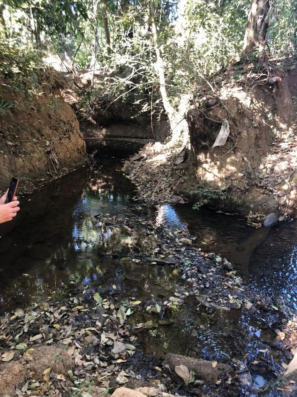 Chácara com córrego 