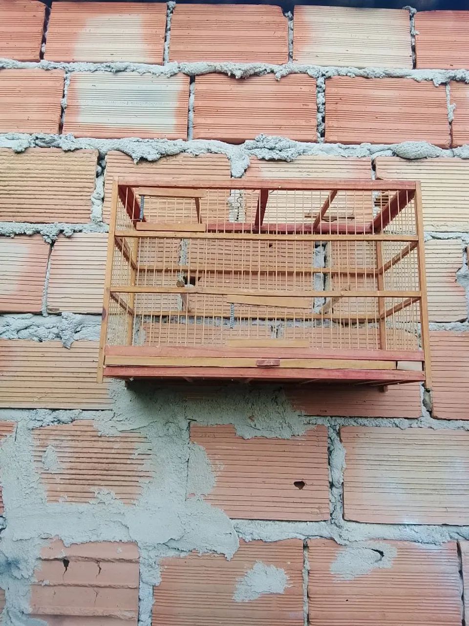 Gaiolas  - Foto 3