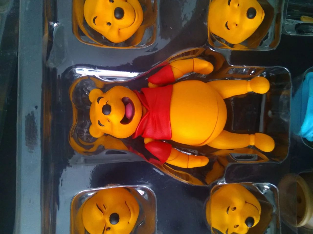 Urso poo - Foto 3