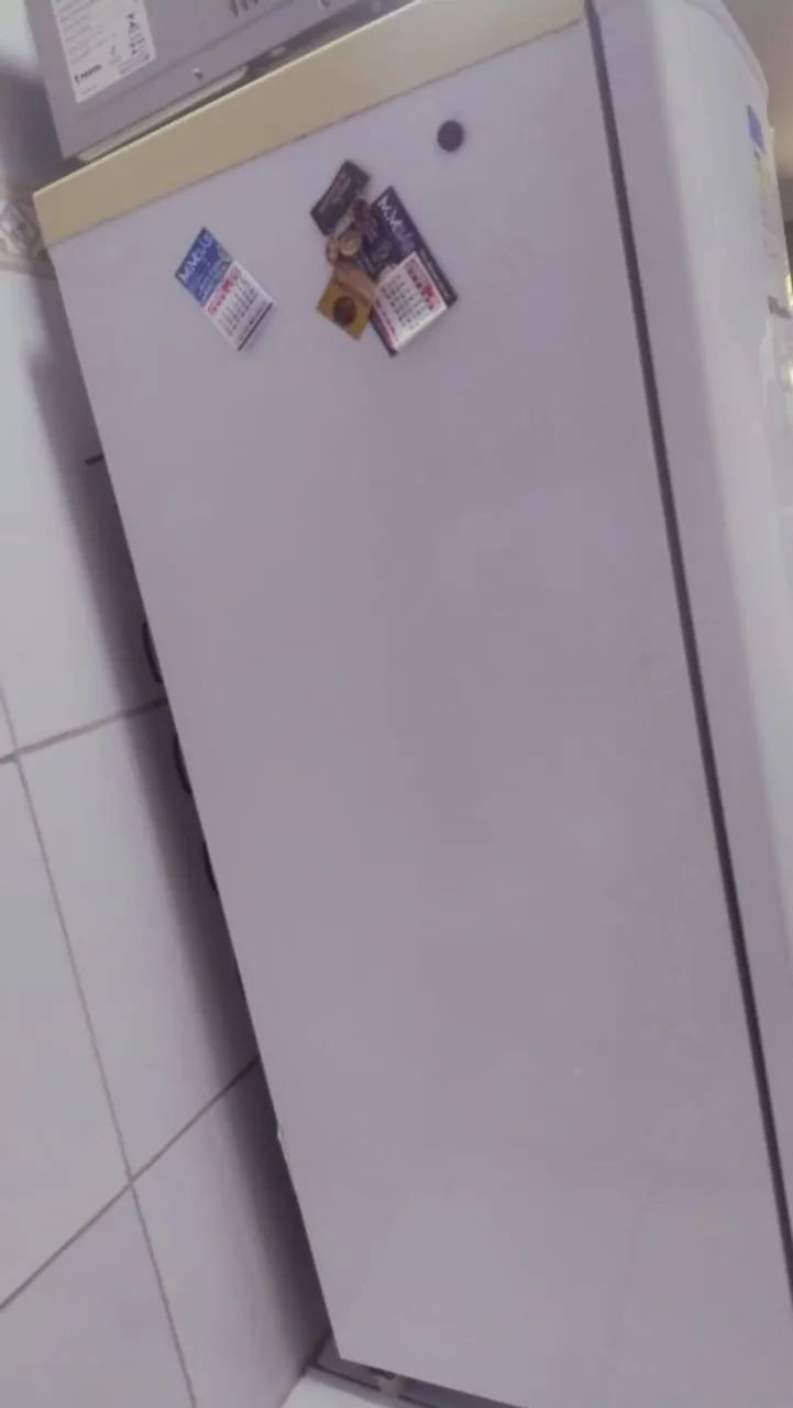 Frizer da marca Electrolux  - Foto 2