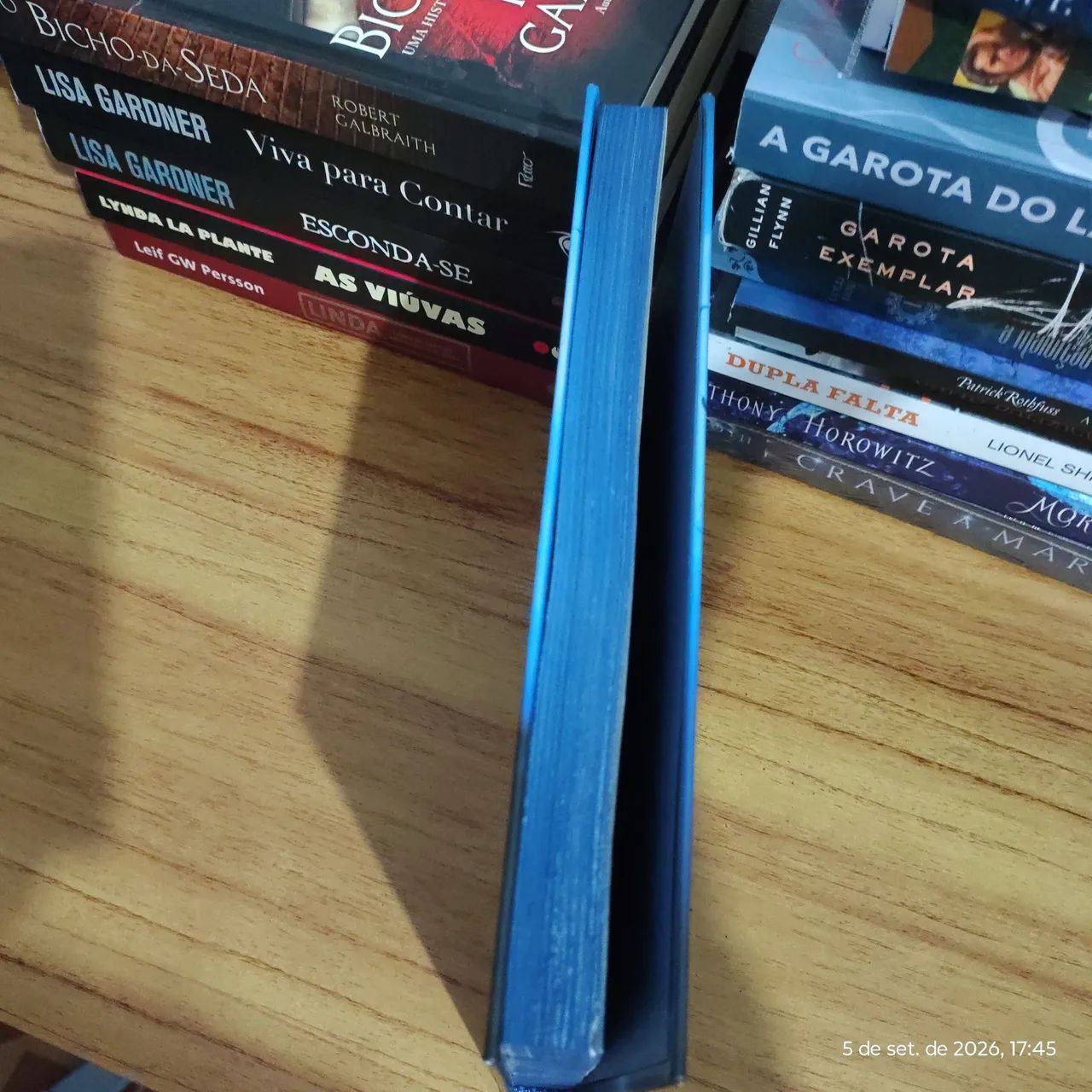 Caixa de Pássaros - Josh Malerman - Foto 4