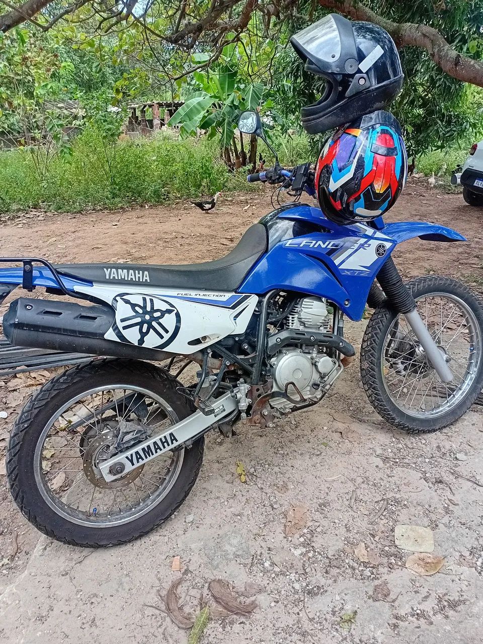 Lander 250
