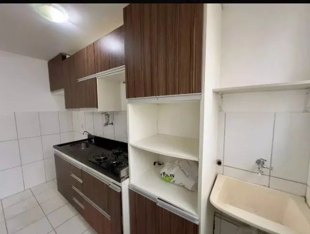Foto - São José dos Campos - Palmeiras de São José