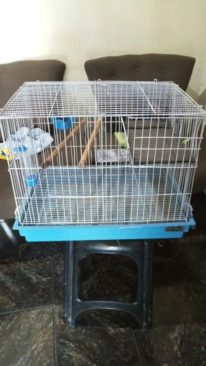 Gaiola 