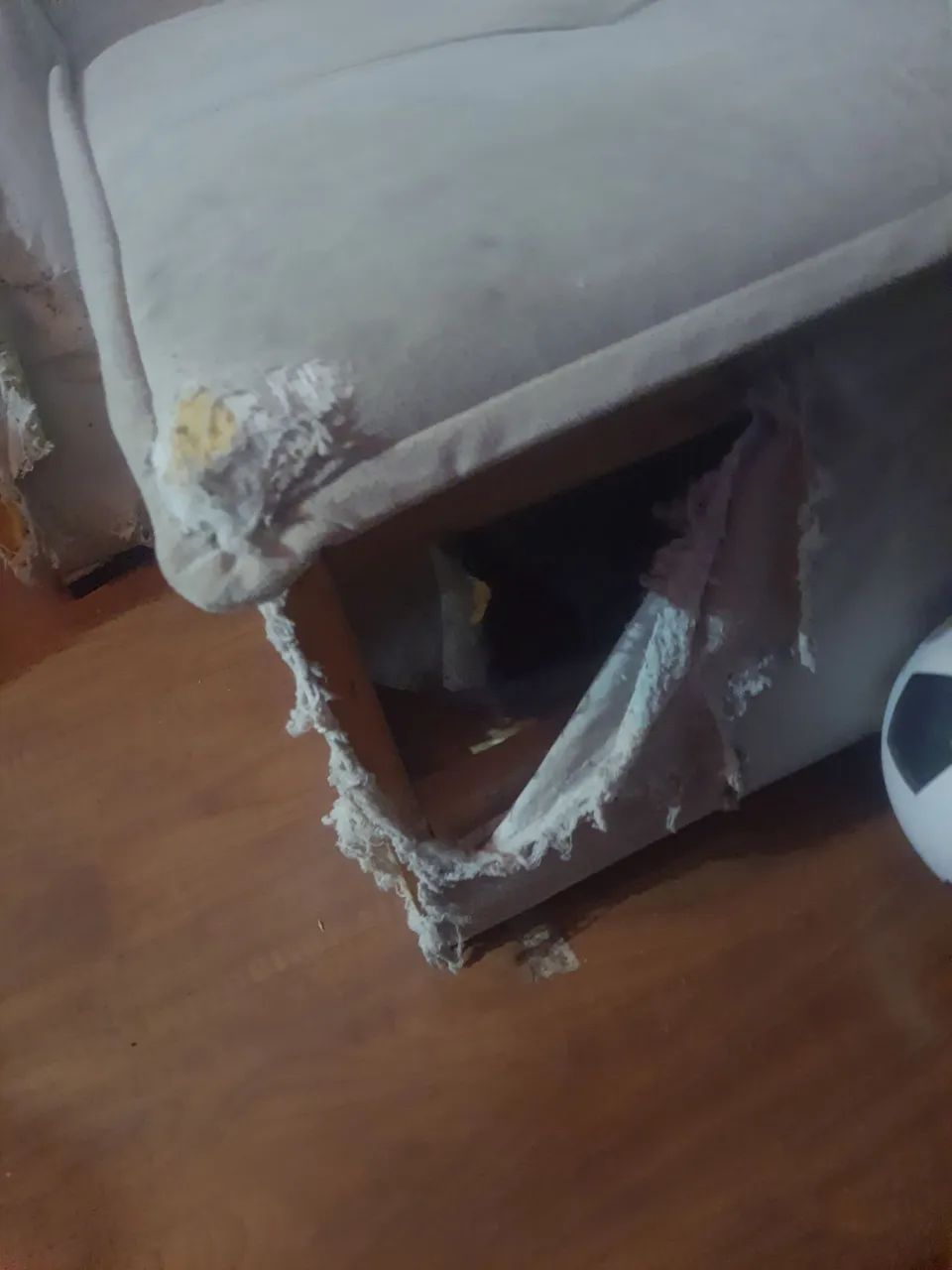Doando sofá e guarda roupa de casal - Foto 3