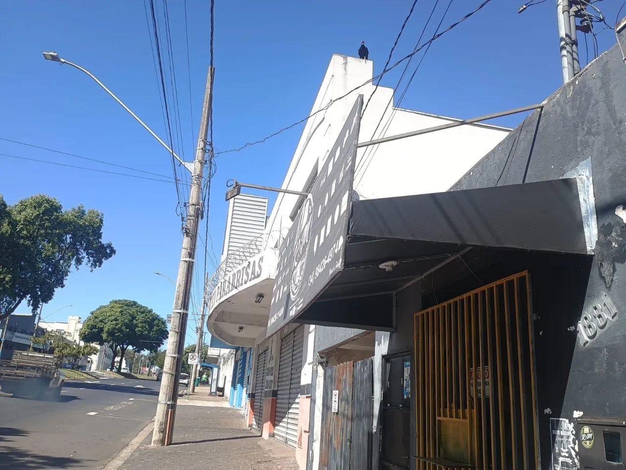 Toldo 