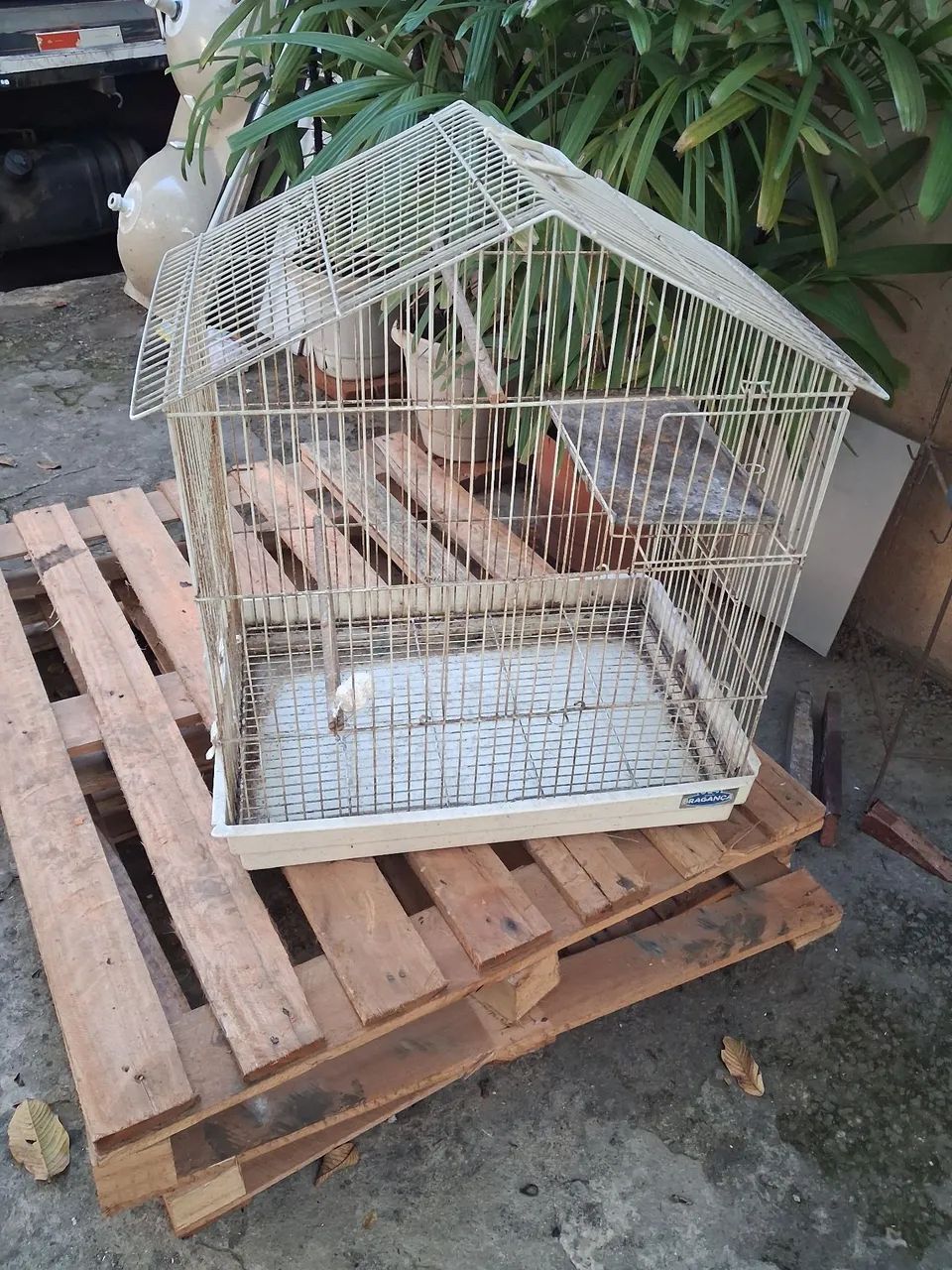 Gaiola para pássaros 
