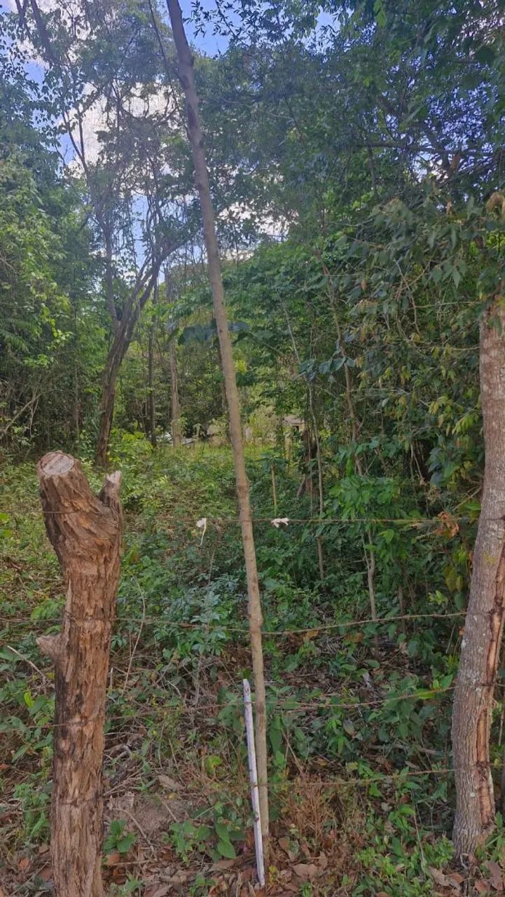 Vende-se área. - Foto 3