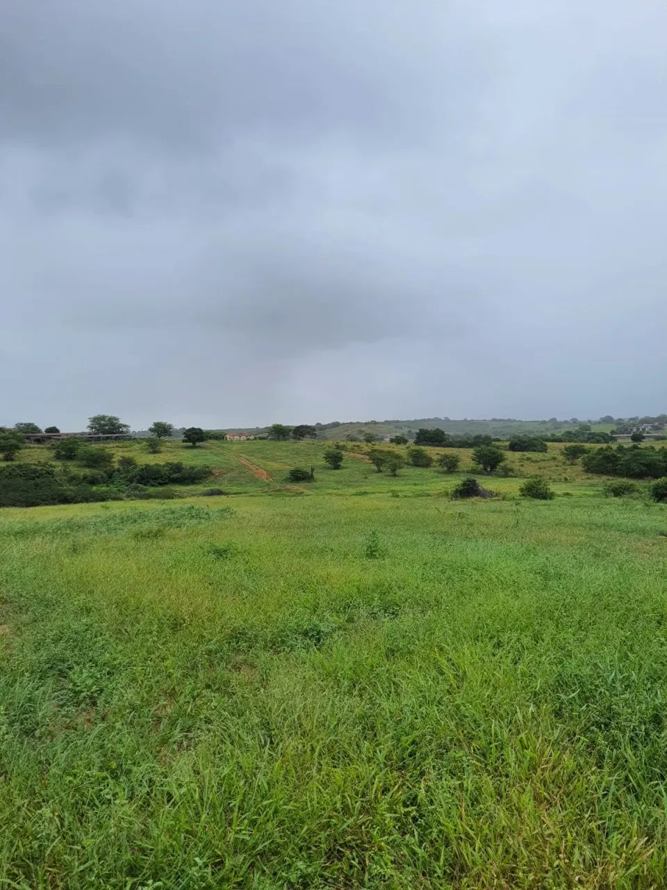Fazenda com 550 hectares em Ielmo Marinho - Foto 2