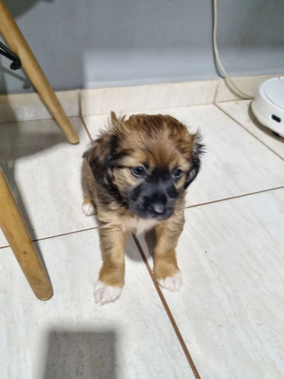 Doaçao - Foto 2