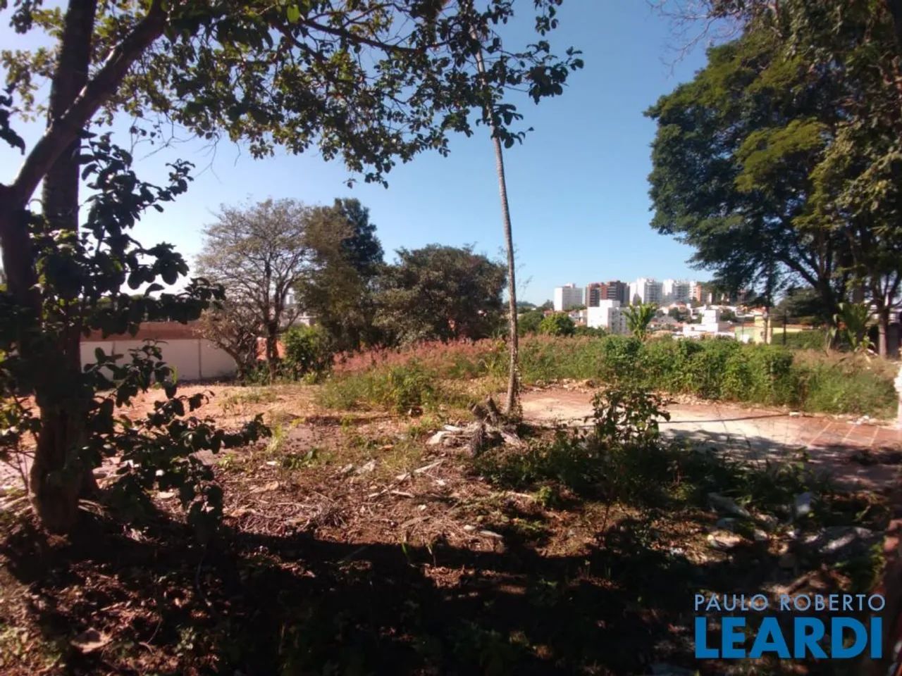 AREA - MORUMBI - SP - Foto 4