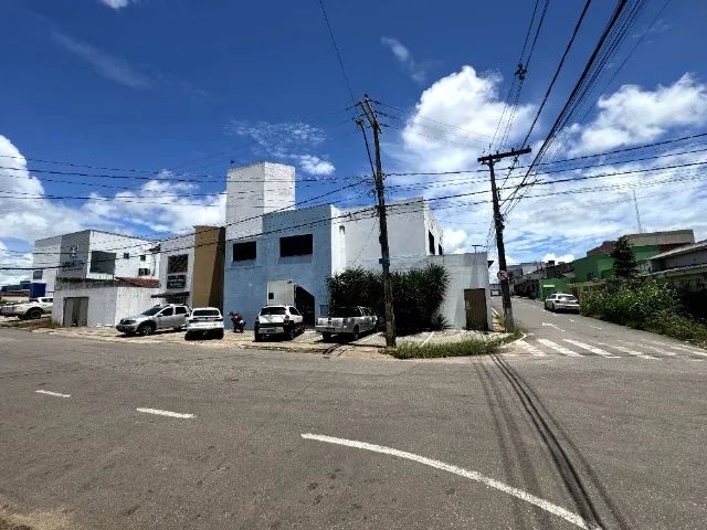 Foto - Rio Branco - Bosque