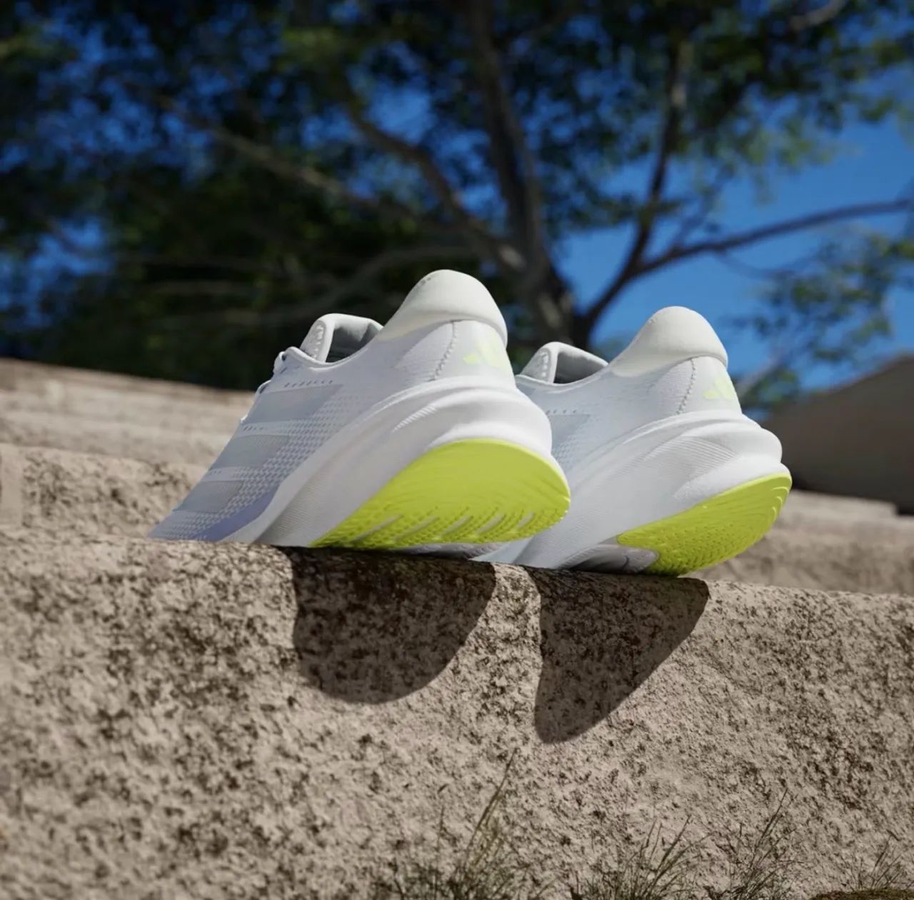 Tênis Adidas Supernova Stride 2 - Calçados - Vila Esperança, Nova
