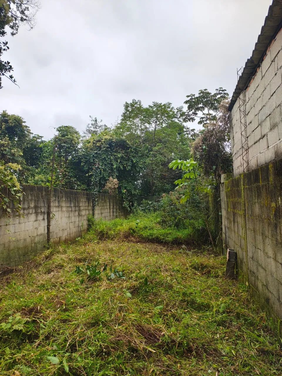 Vende se terreno já murado  - Foto 4
