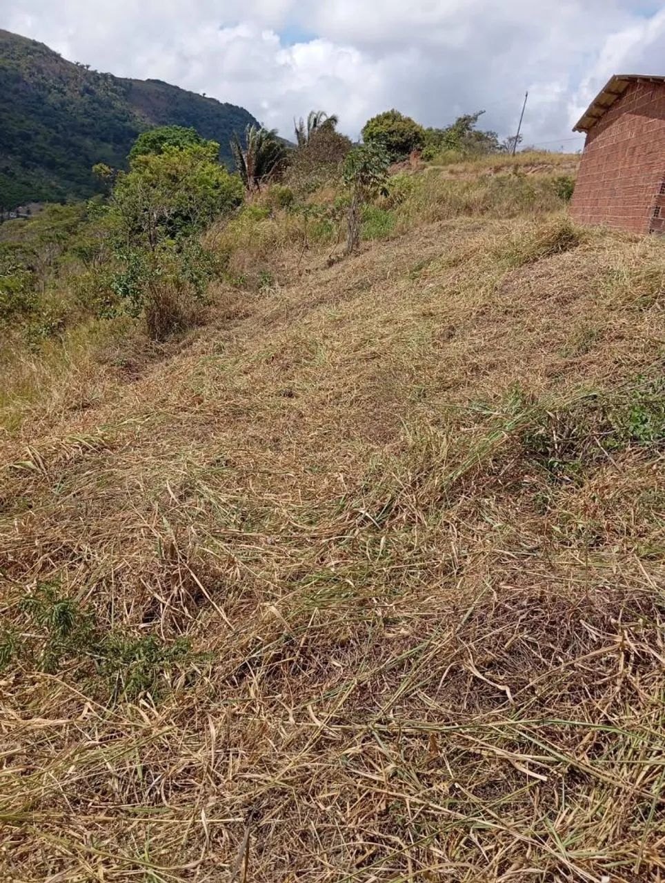 Vendo e troco sítio em chá grande  - Foto 5