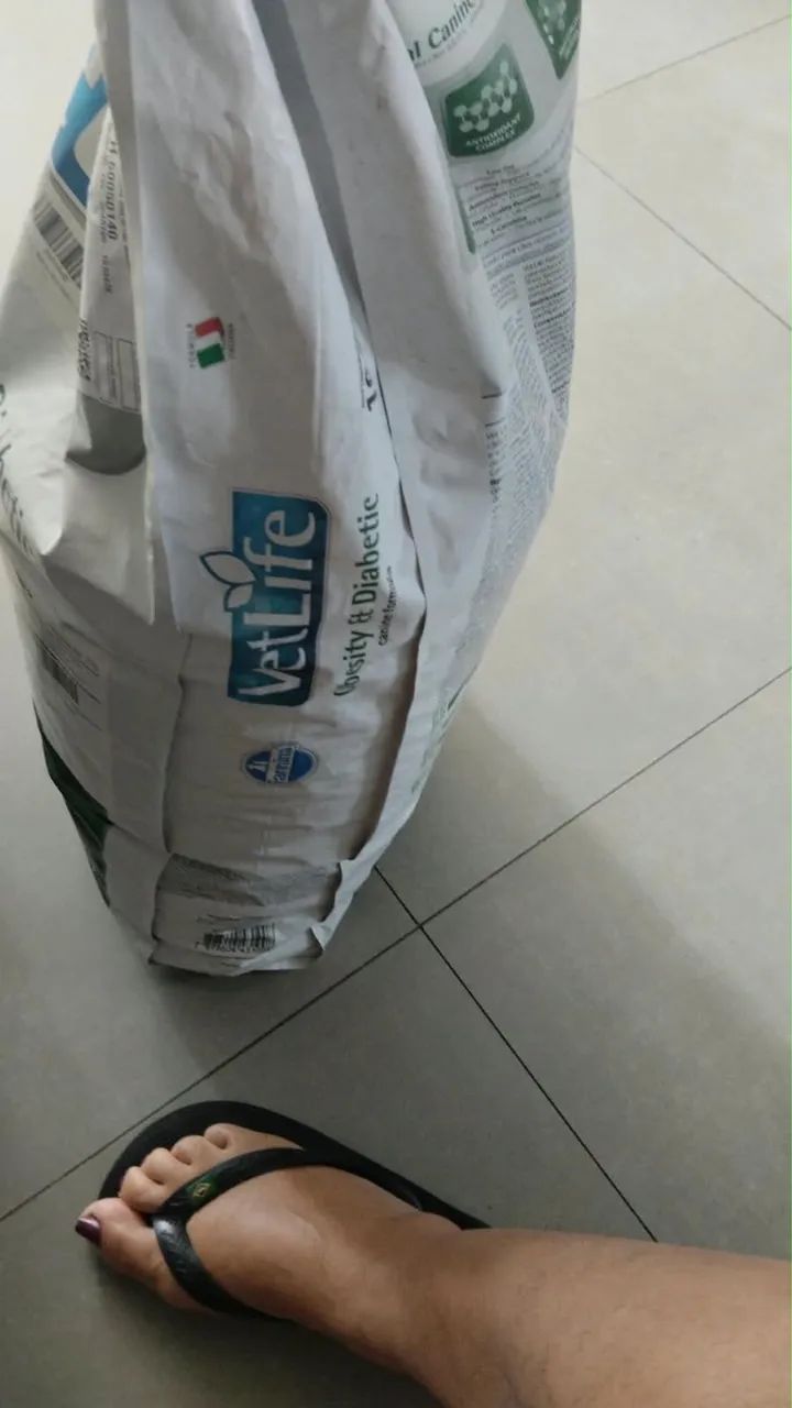 SACA DE RAÇÃO LACRADA - OPORTUNIDADE  - Foto 3