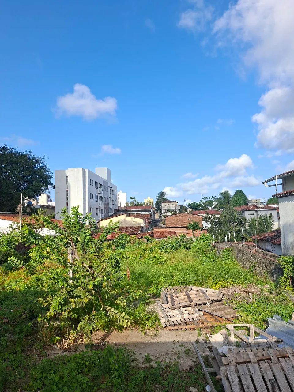 Vendo Terreno com área de 660m² - Foto 5