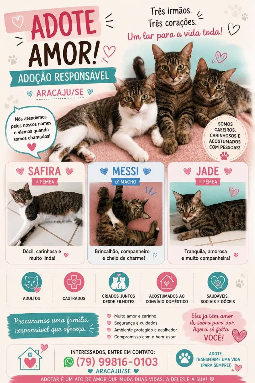 Adoção Responsável  - Foto 5