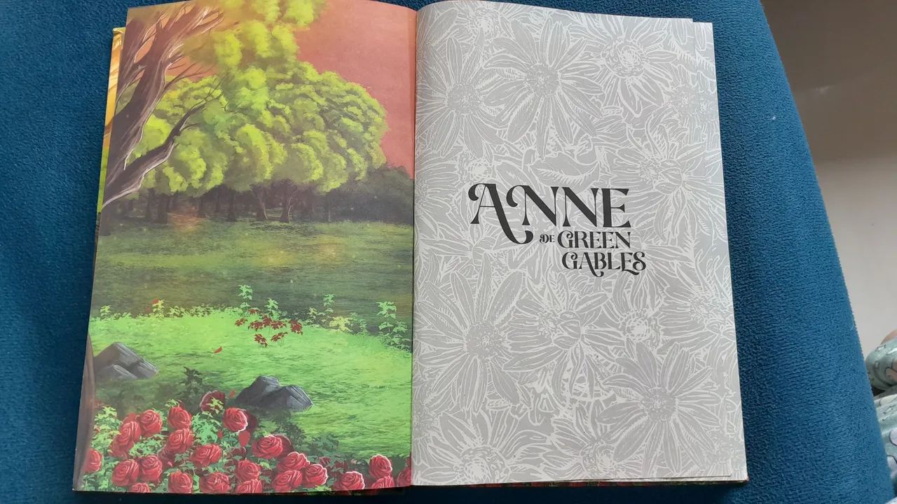Livro Anne - Foto 4