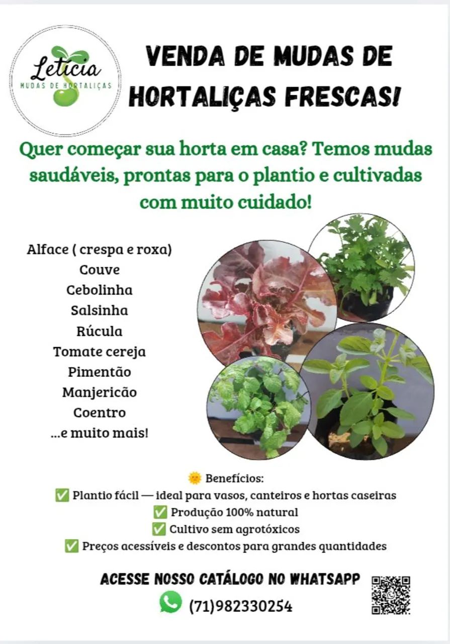 Mudas de Hortaliças 