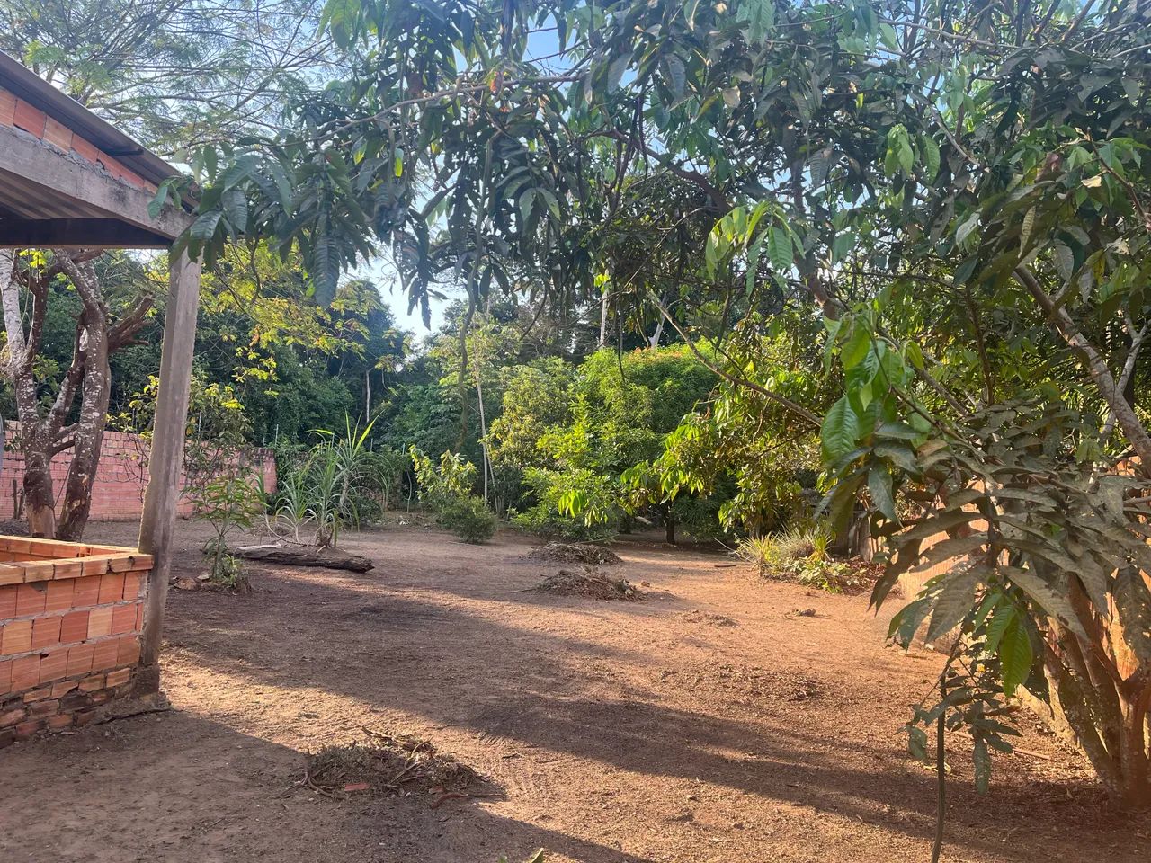 Vende-se chácara com casa . - Foto 5