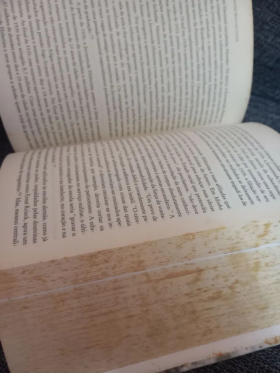 O terceiro Reich no poder - Foto 4