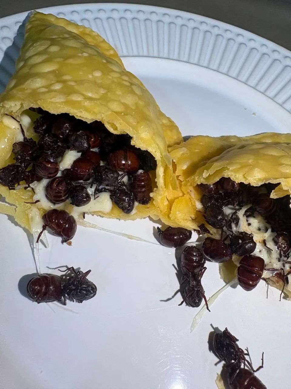 Pastel de Tanajura 
