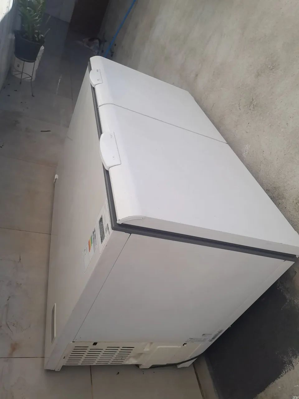 Frizzer consul 