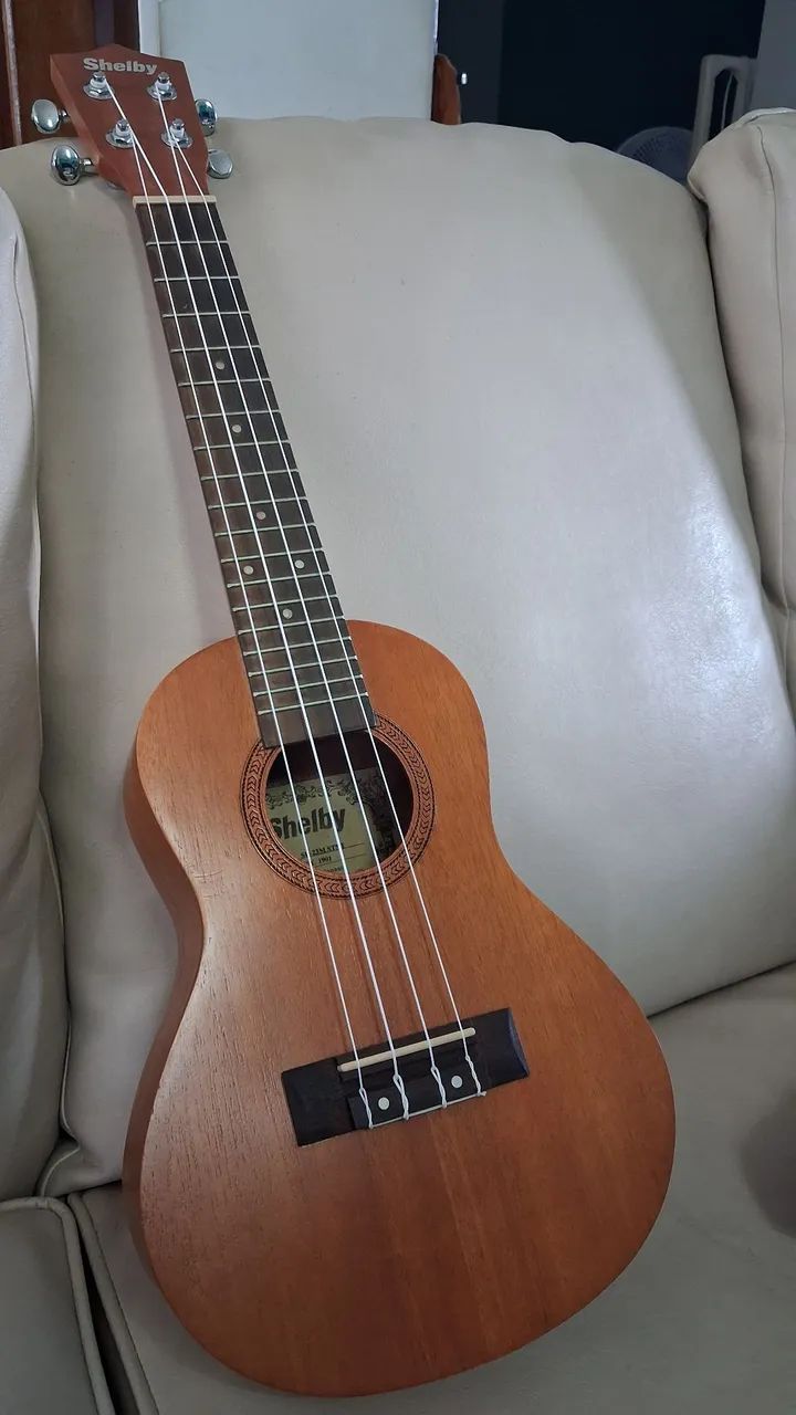 Ukulele Concert Shelby