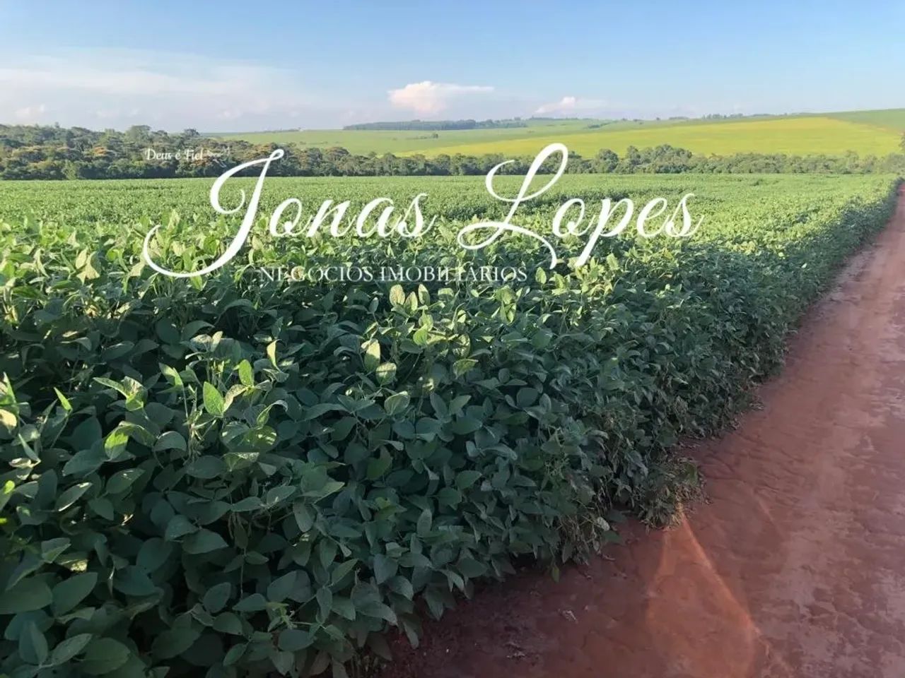 Fazenda 46 Alqueires Terra Boa - Paraná - Foto 2