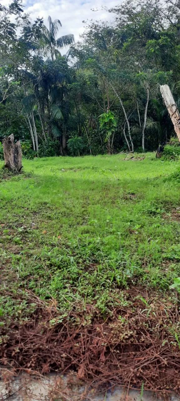 Terreno no Centro do Tauá  - Foto 4