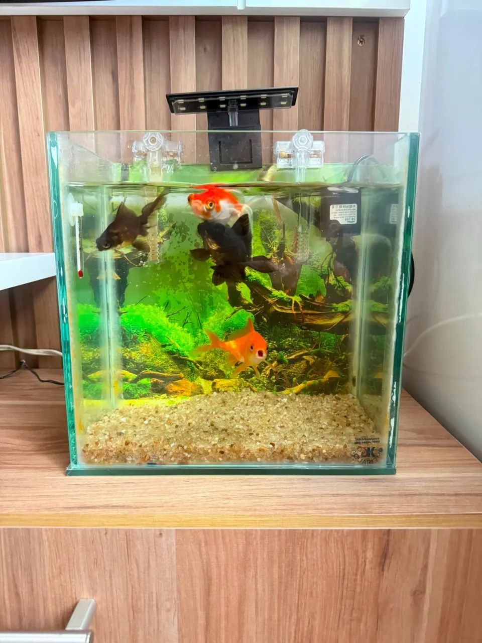 Vendo aquário de 25 litros novo ! Completo!  - Foto 2