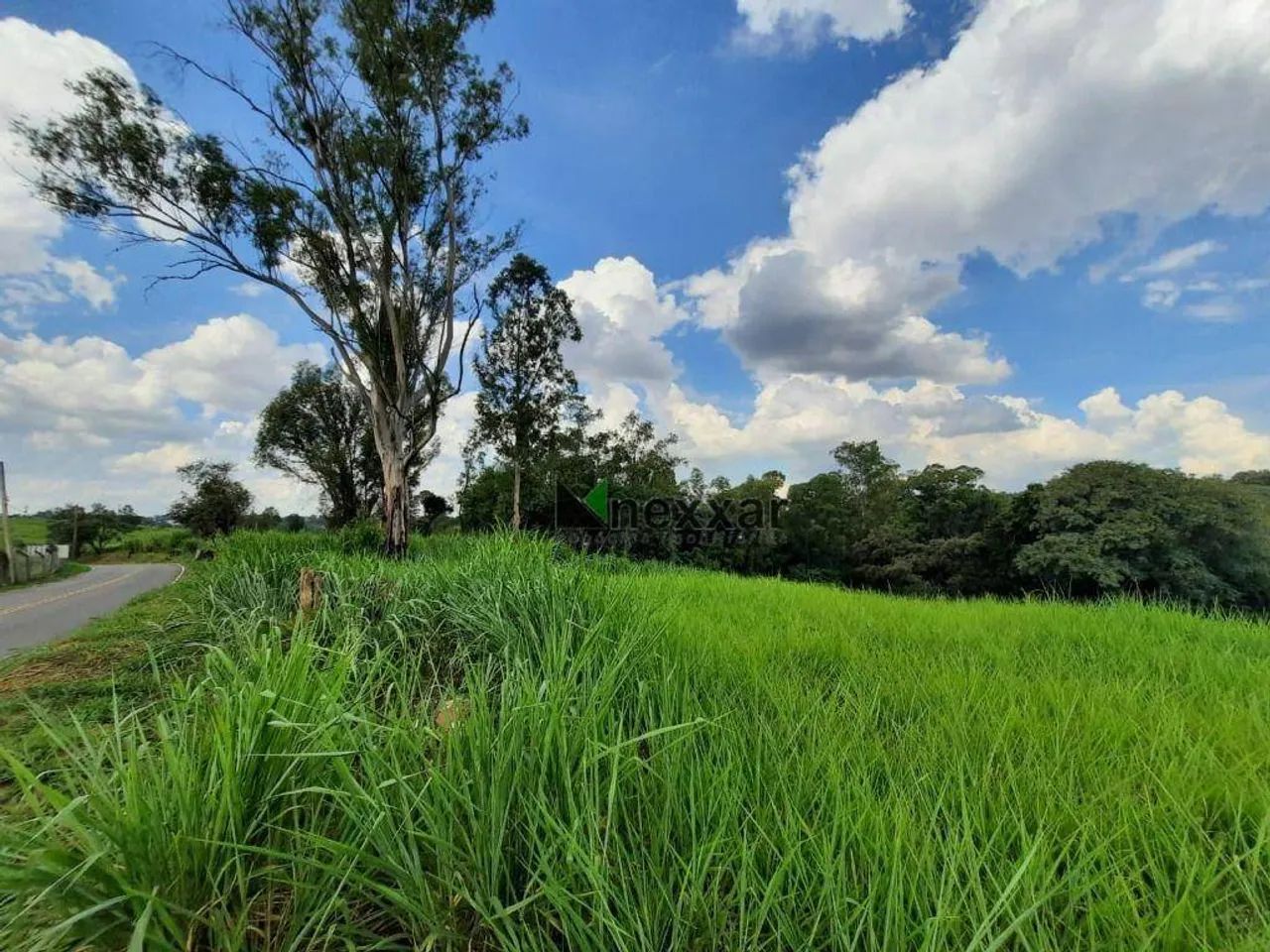 Área com 20.000 metros - Foto 4