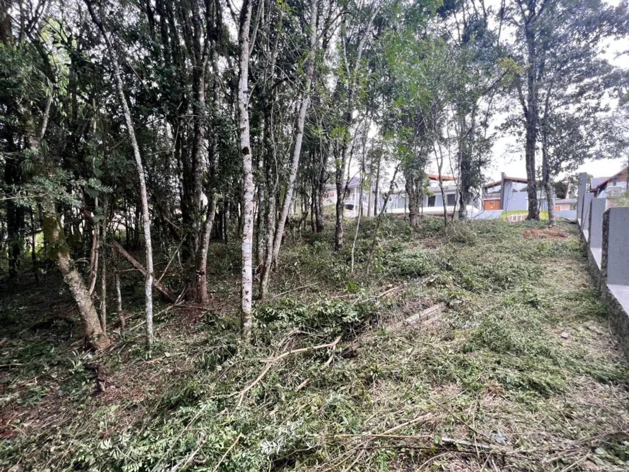 Terreno - Bairro Carniel - Foto 3