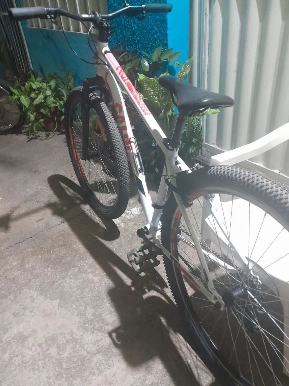 Bicicleta 
