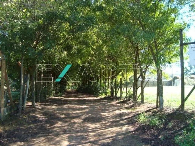 área - Centro - Holambra - Foto 2