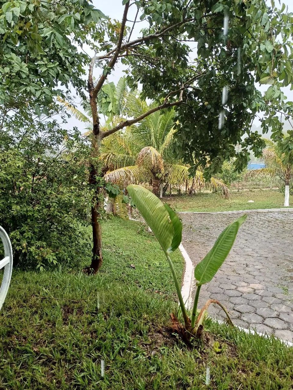 Sítio para locação  - Foto 8