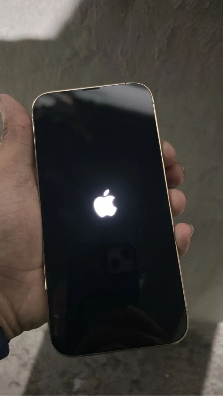 IPhone 13 Pro Max RETIRADA DE PEÇAS 