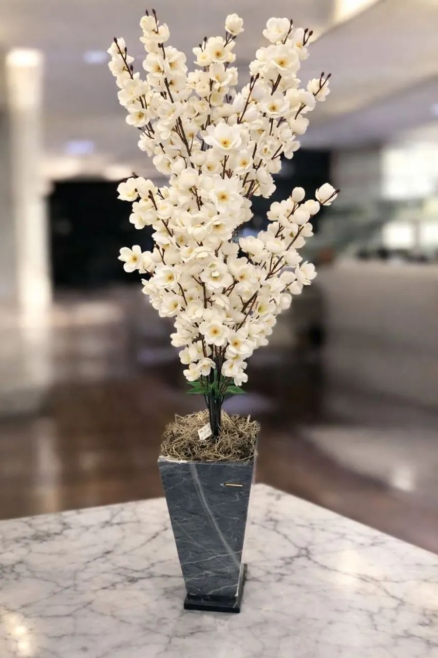 Cerejeira de chão - Foto 4