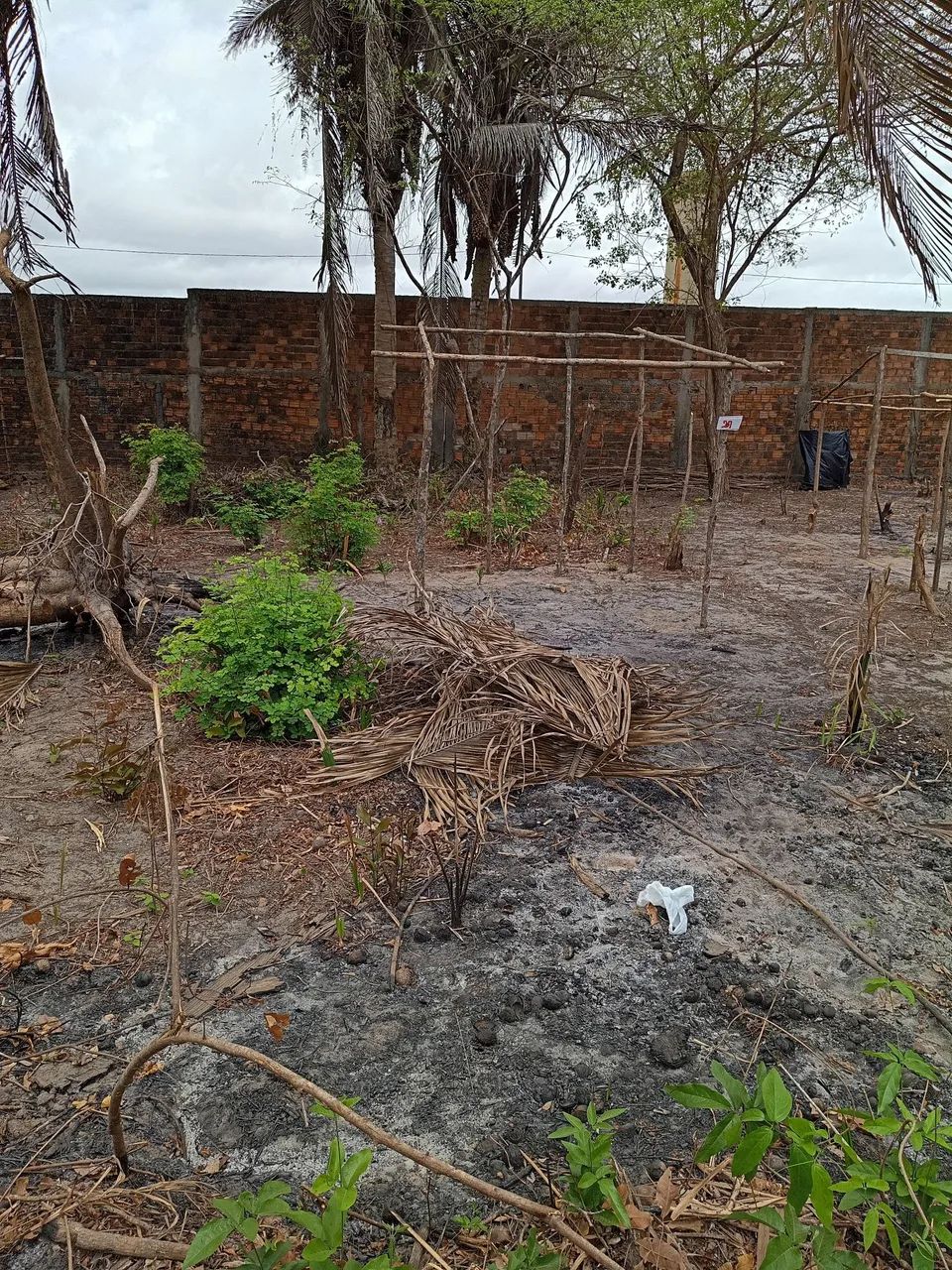 Vendo este terreno próximo a estrada de Ribamar  - Foto 2